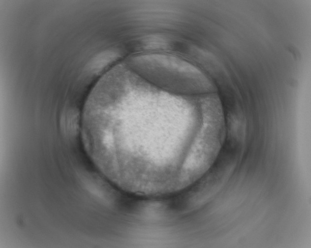 X0000113600356200910161911