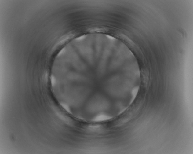 X0000113600357200910161911