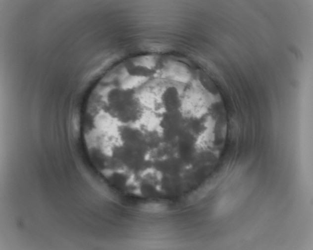 X0000113600358200910161911