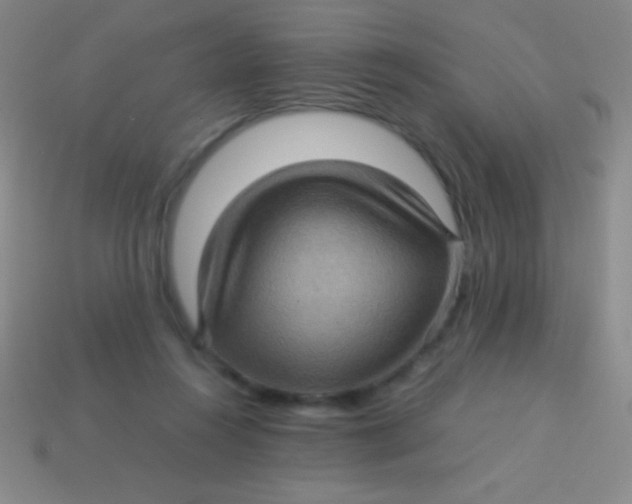 X0000113600360200910161911