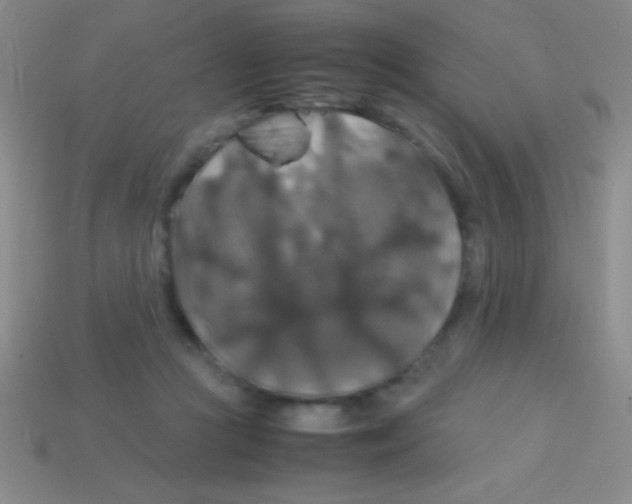 X0000113600361200910161911