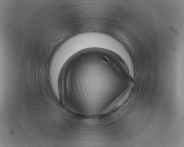 X0000113600362200910161911