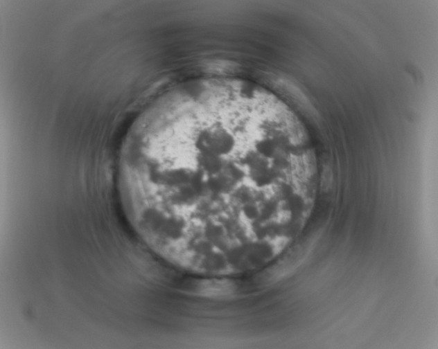 X0000113600363200910161911