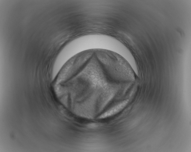 X0000113600364200910161911