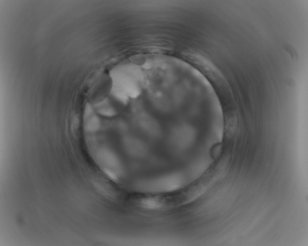 X0000113600365200910161911