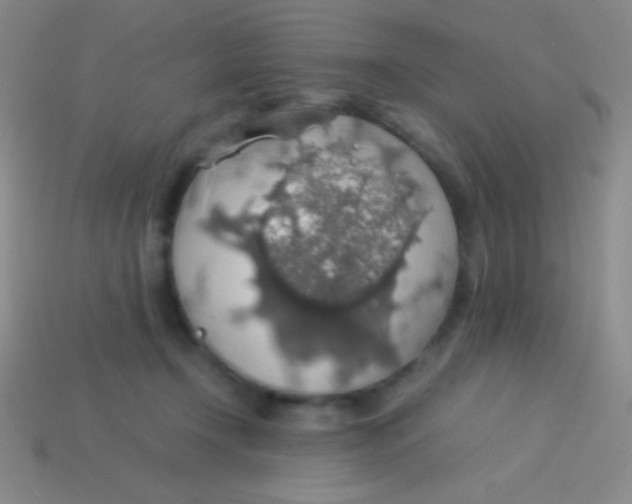 X0000113600366200910161911