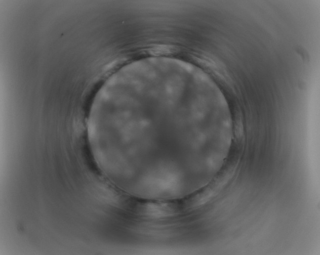 X0000113600367200910161911