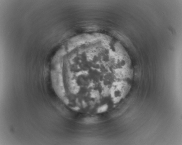 X0000113600369200910161911