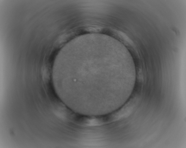 X0000113600370200910161911