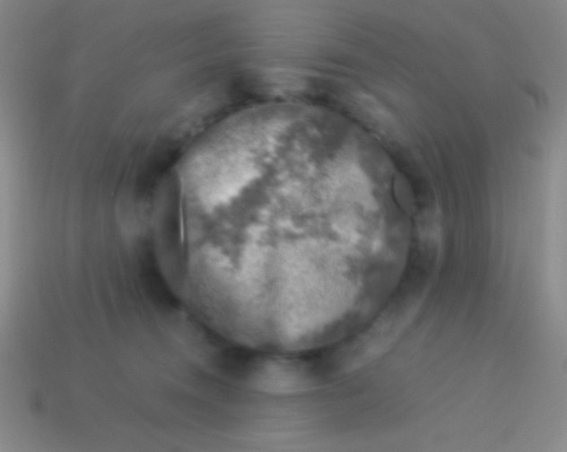 X0000113600372200910161911