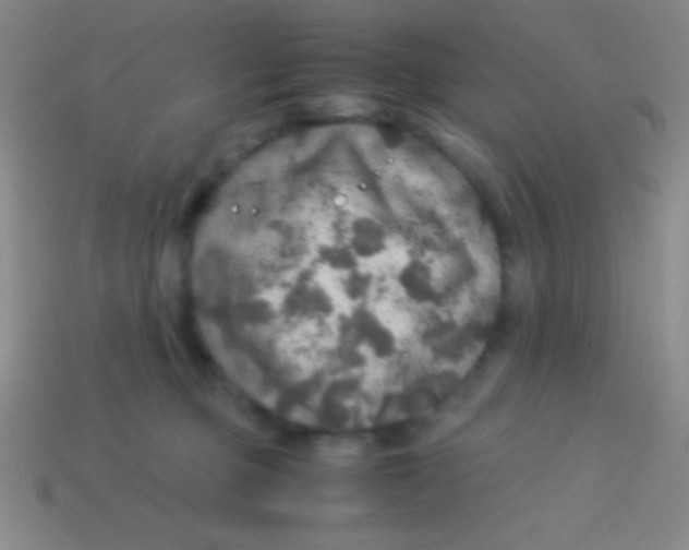 X0000113600373200910161911