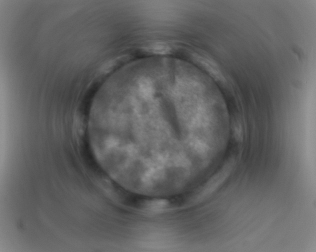 X0000113600374200910161911