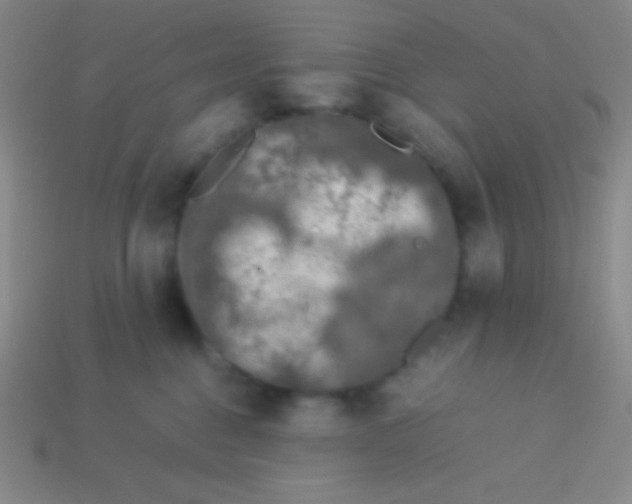 X0000113600376200910161911