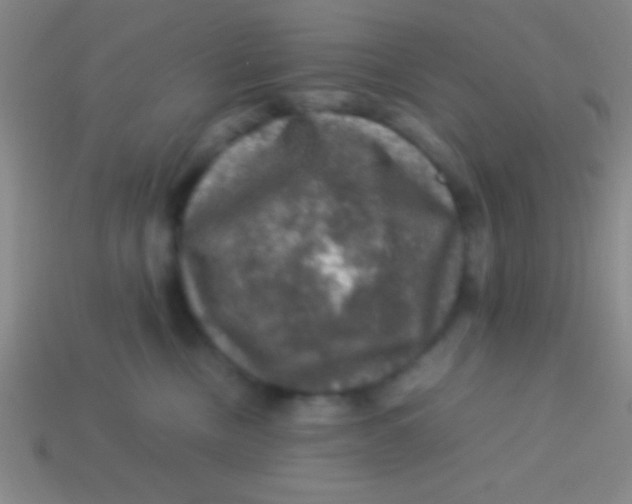 X0000113600378200910161911