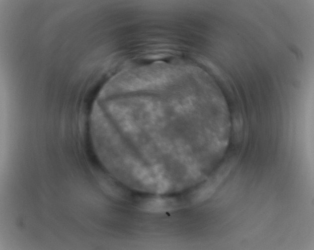 X0000113600379200910161911