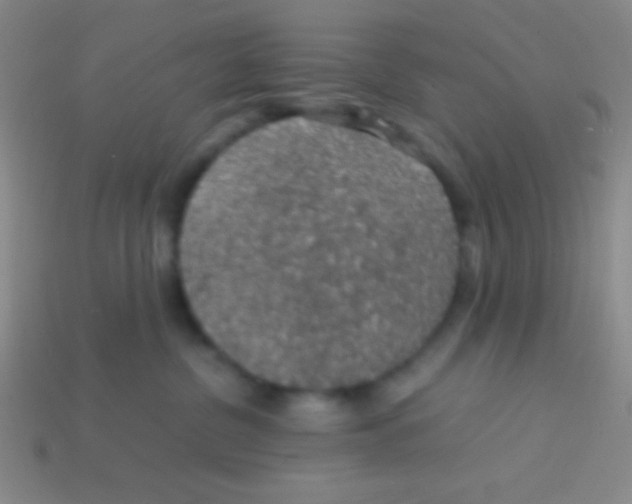 X0000113600380200910161911