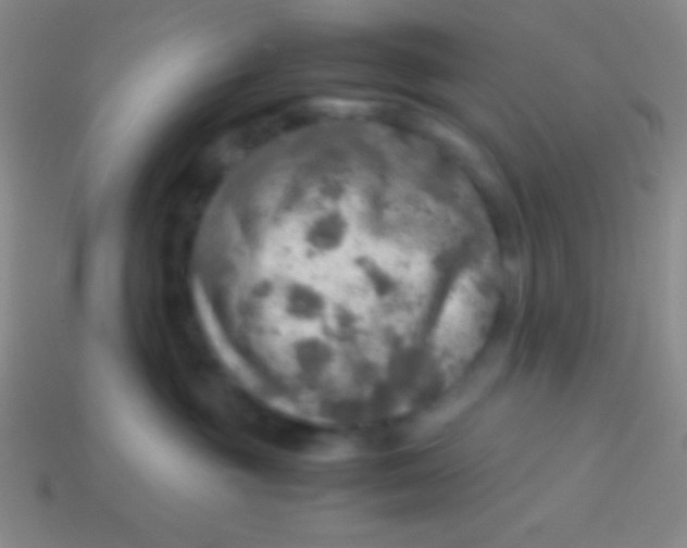 X0000113600381200910161911