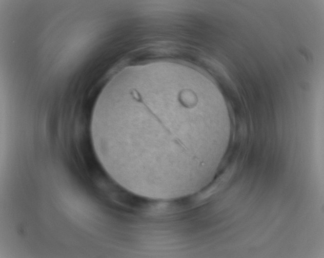 X0000113600382200910161911