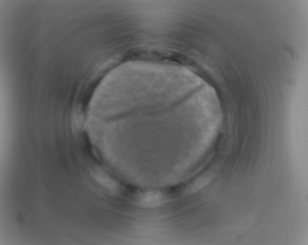 X0000113600384200910161911