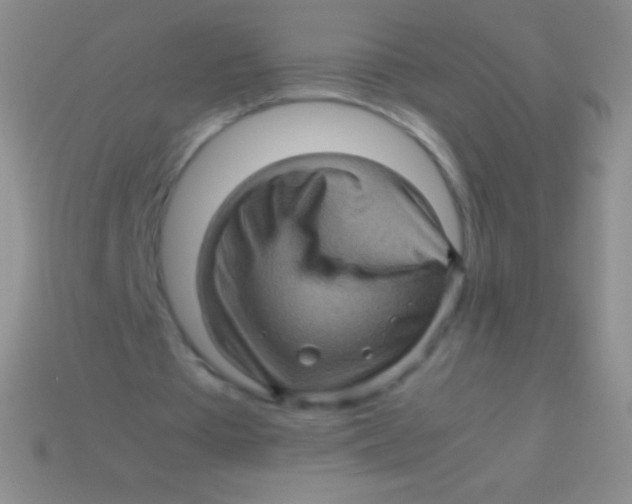 X0000113600385200910161911