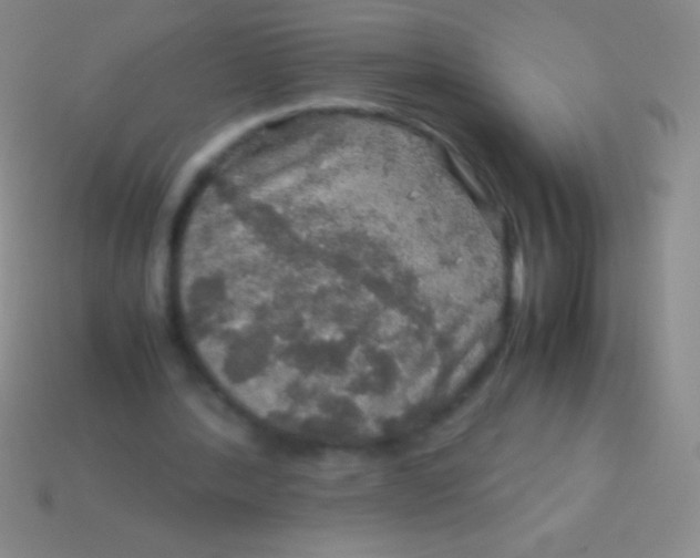 X0000113600388200910161911