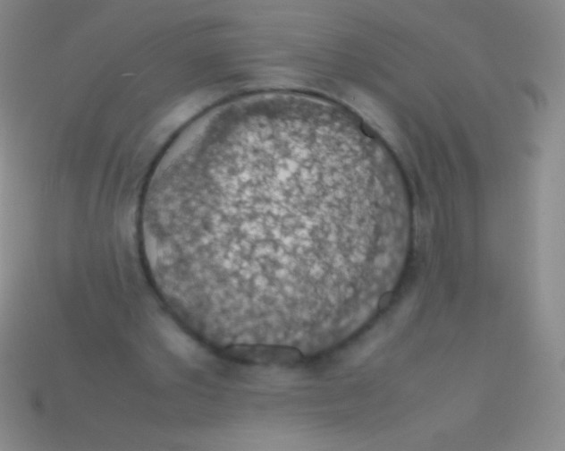 X0000113600389200910161911