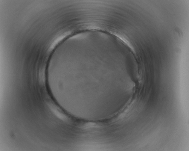 X0000113600390200910161911