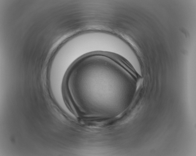 X0000113600391200910161911