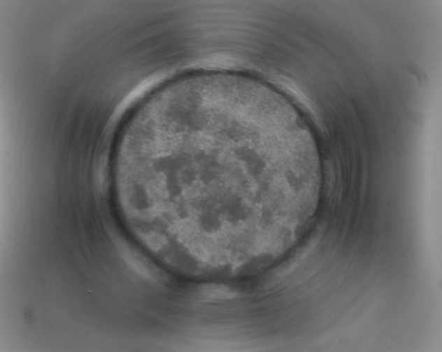 X0000113600392200910161911