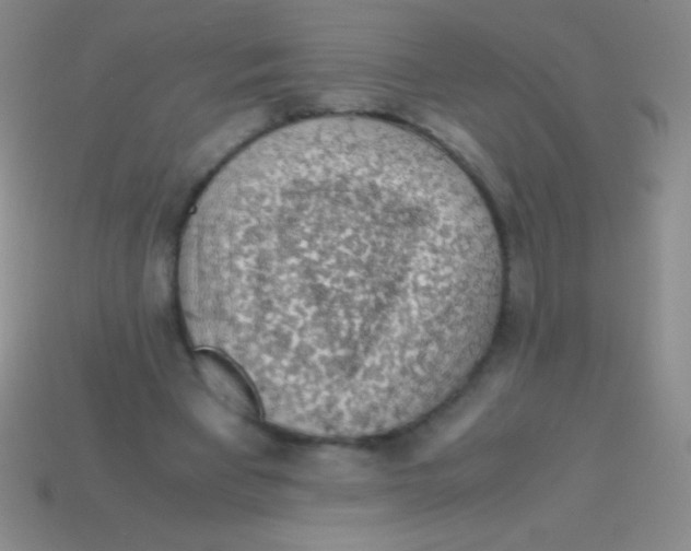 X0000113600393200910161911