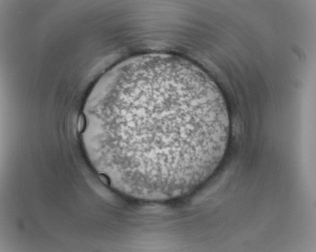 X0000113600397200910161910