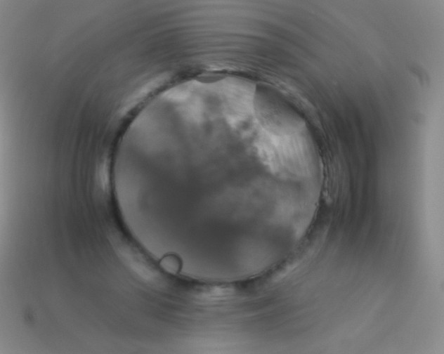 X0000113600398200910161910