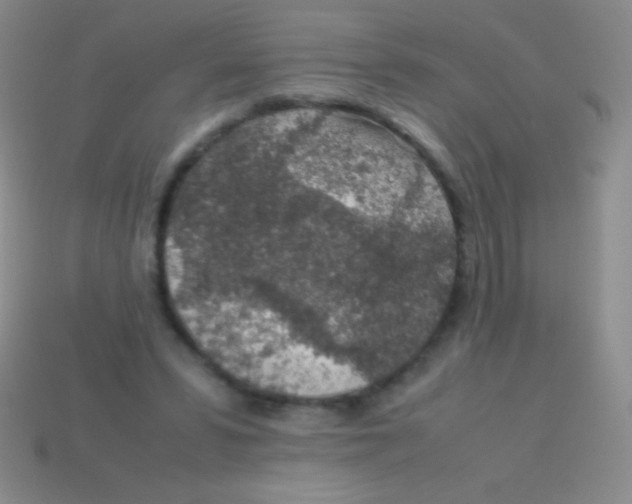 X0000113600399200910161910