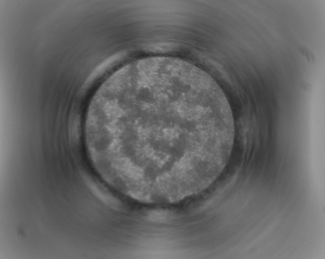 X0000113600400200910161910