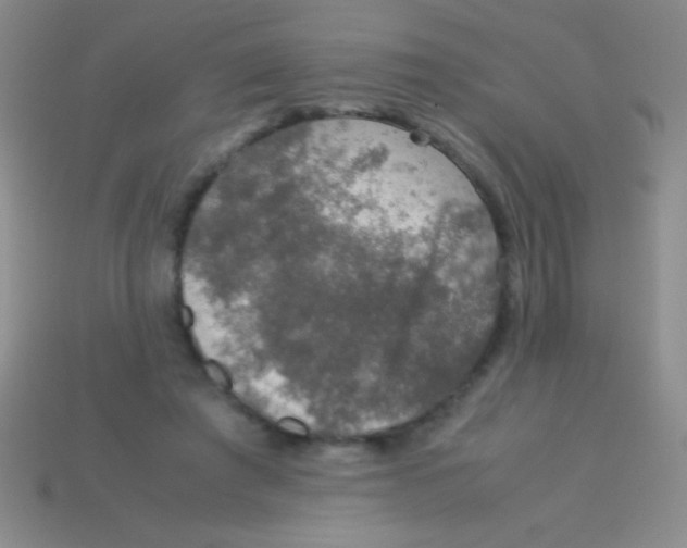 X0000113600401200910161910