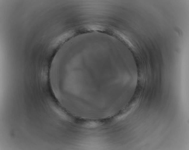 X0000113600402200910161910