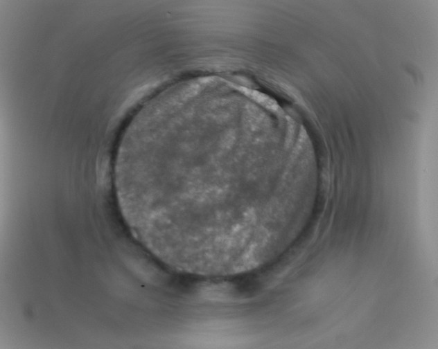 X0000113600403200910161910