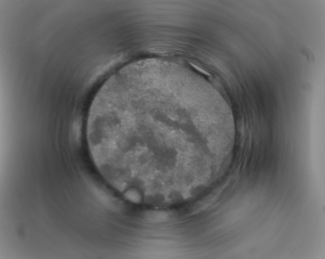 X0000113600404200910161910