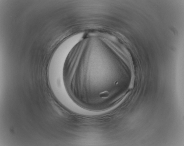 X0000113600405200910161910