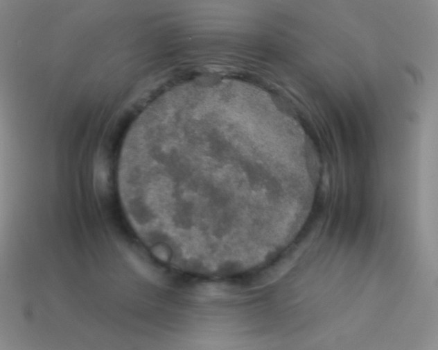 X0000113600408200910161910