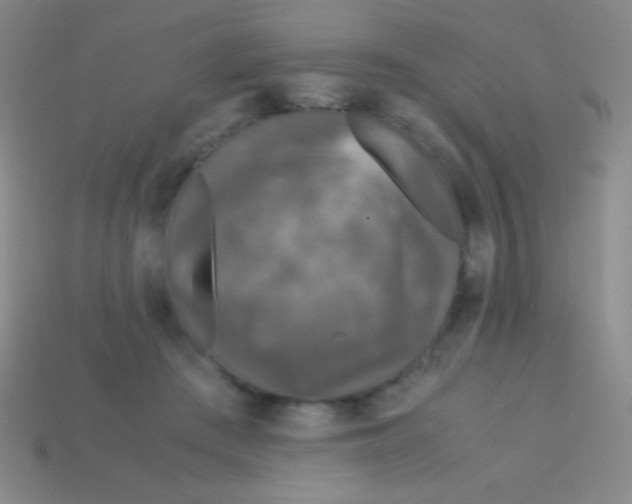 X0000113600409200910161910