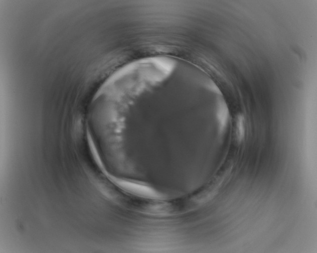 X0000113600410200910161910