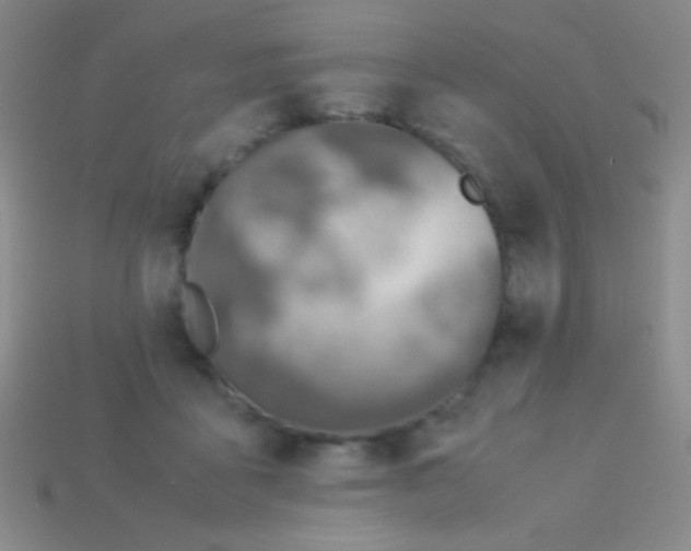 X0000113600411200910161910