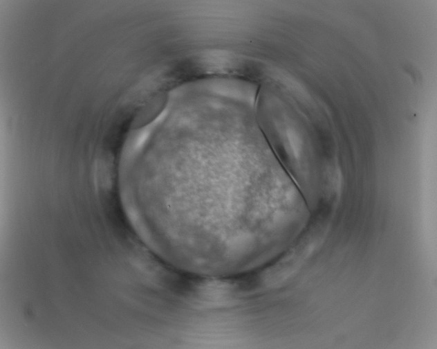 X0000113600413200910161910