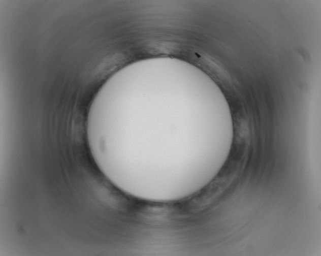 X0000113600414200910161910