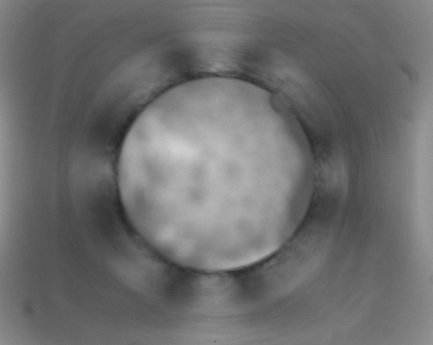 X0000113600415200910161910