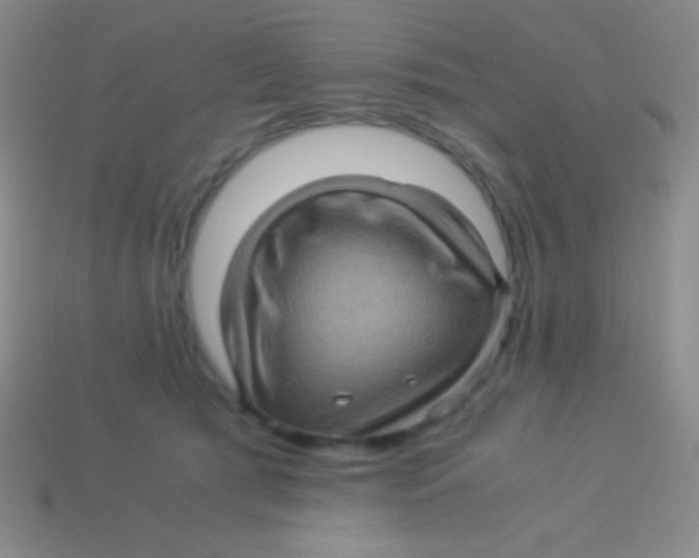 X0000113600417200910161910