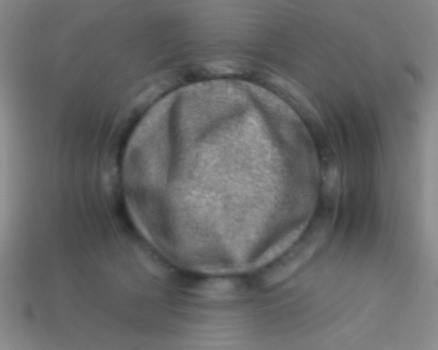 X0000113600418200910161910