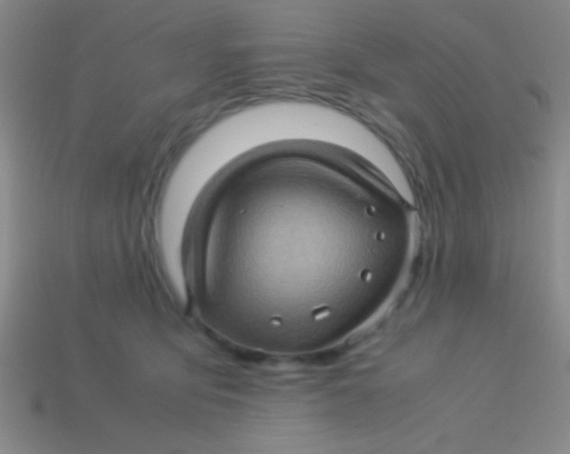 X0000113600419200910161910