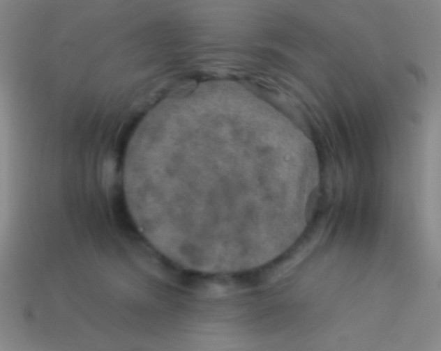 X0000113600420200910161910